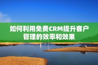 如何利用免费CRM提升客户管理的效率和效果
