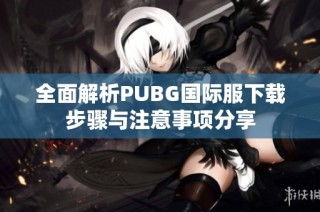 全面解析PUBG国际服下载步骤与注意事项分享