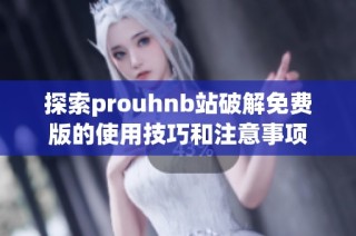 探索prouhnb站破解免费版的使用技巧和注意事项