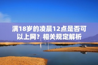 满18岁的凌晨12点是否可以上网？相关规定解析