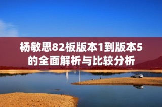 杨敏思82板版本1到版本5的全面解析与比较分析