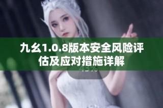 九幺1.0.8版本安全风险评估及应对措施详解