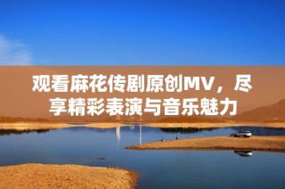 观看麻花传剧原创MV，尽享精彩表演与音乐魅力
