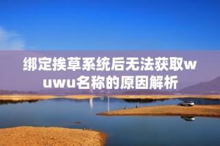 绑定挨草系统后无法获取wuwu名称的原因解析