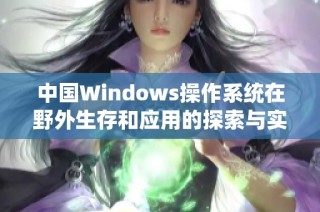 中国Windows操作系统在野外生存和应用的探索与实践