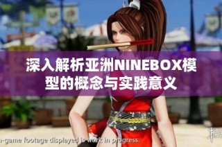 深入解析亚洲NINEBOX模型的概念与实践意义