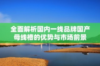 全面解析国内一线品牌国产母线槽的优势与市场前景