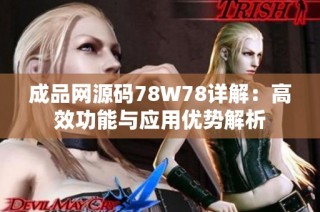 成品网源码78W78详解：高效功能与应用优势解析