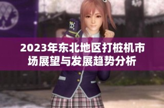 2023年东北地区打桩机市场展望与发展趋势分析