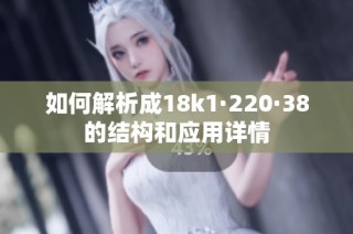 如何解析成18k1·220·38的结构和应用详情