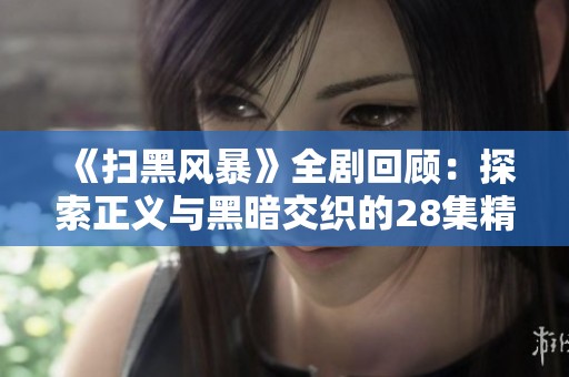 《扫黑风暴》全剧回顾：探索正义与黑暗交织的28集精彩剧情